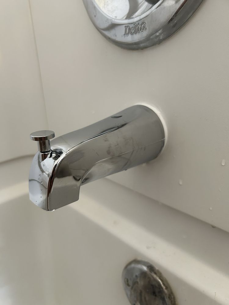 Shower diverter and tub spout replacement